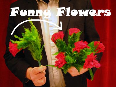 Funny Flowers