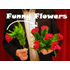 Funny Flowers